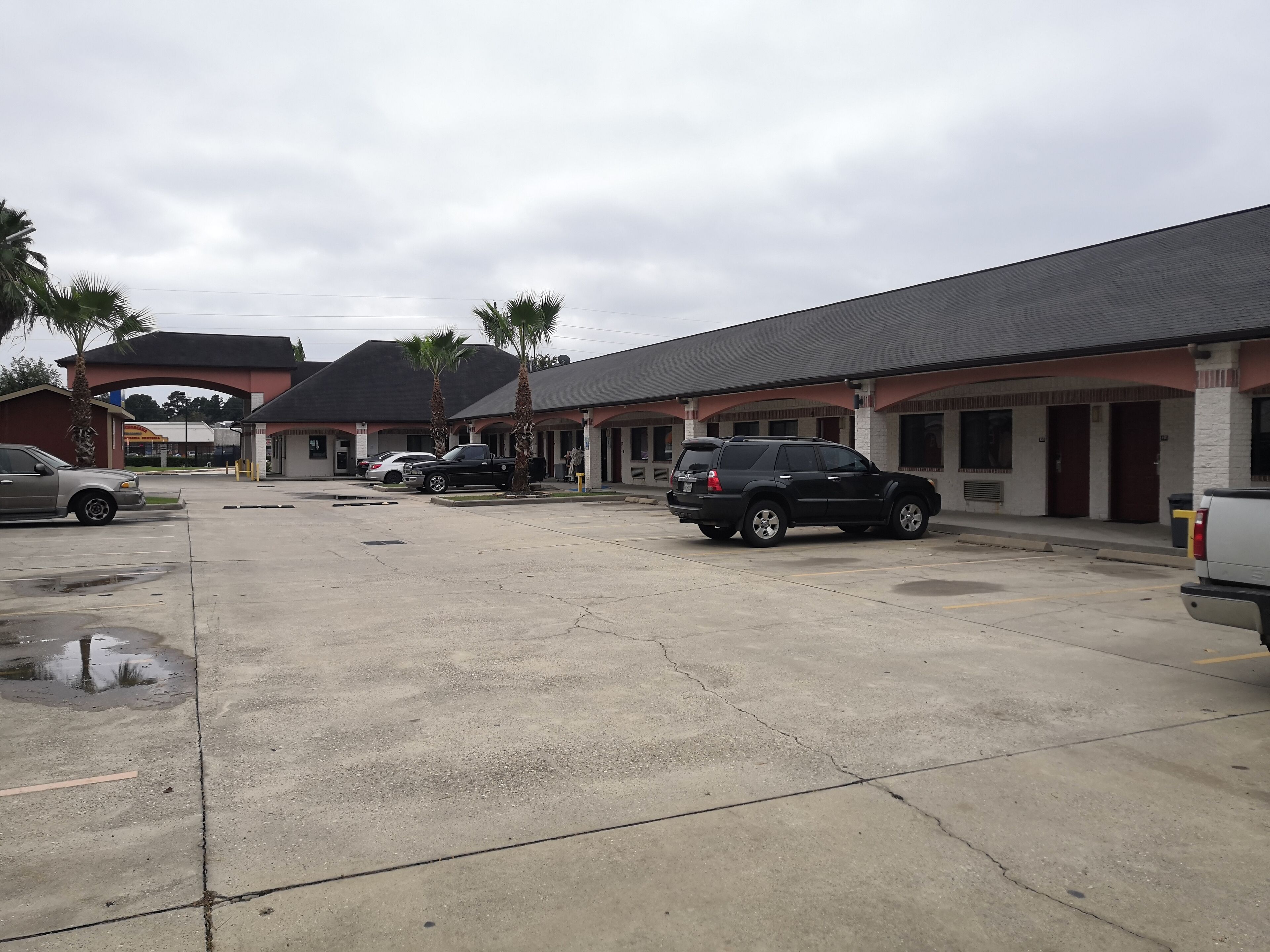 Een motel met een parkeerplaats, meerdere geparkeerde auto's en palmbomen.