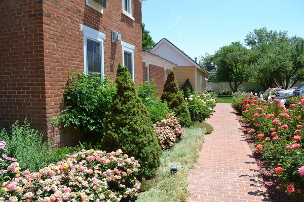 Courtyard