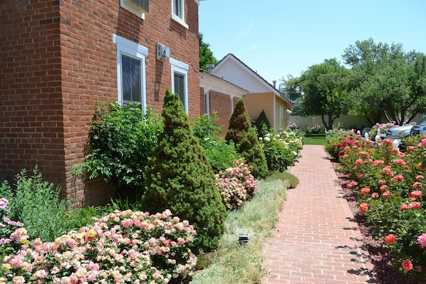Courtyard