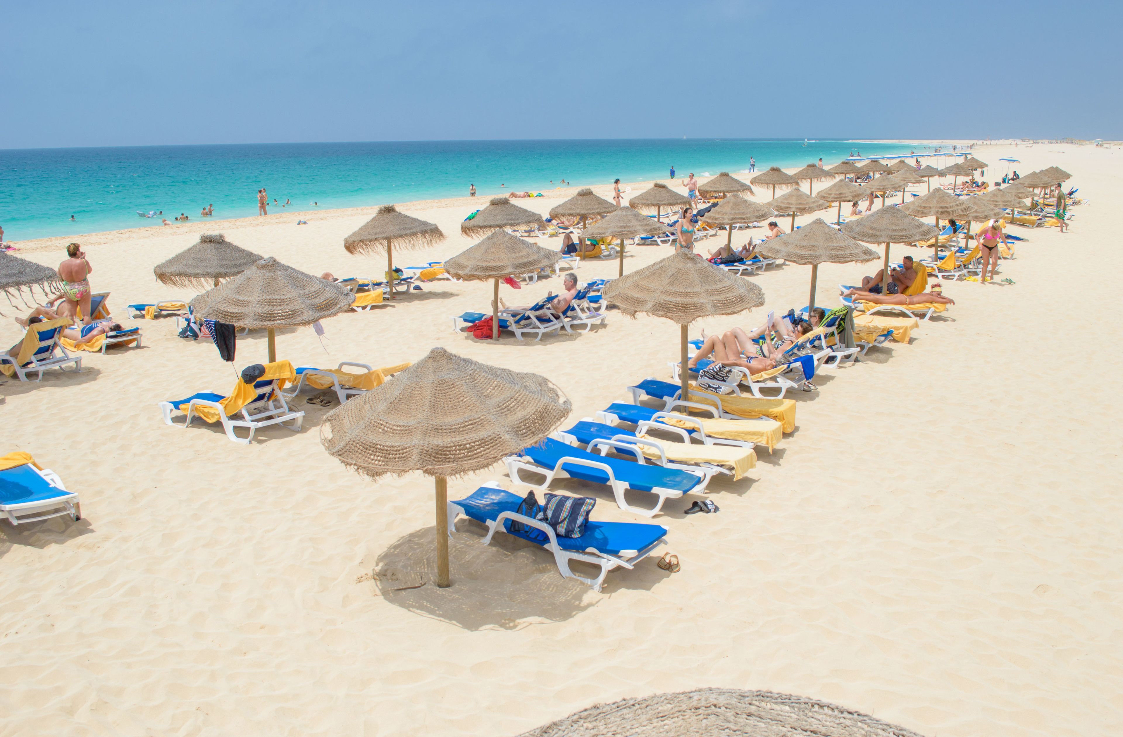 해변에 위치, 일광욕 의자, 비치 타월, 스쿠버다이빙