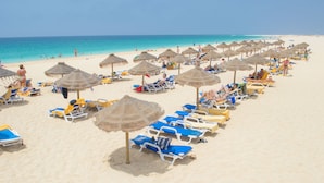 A beach with rows of sun loungers and thatched umbrellas.