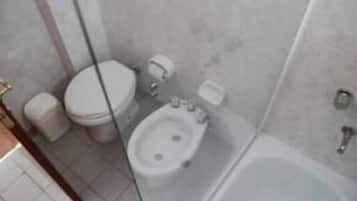 Hair dryer, bidet, soap, shampoo
