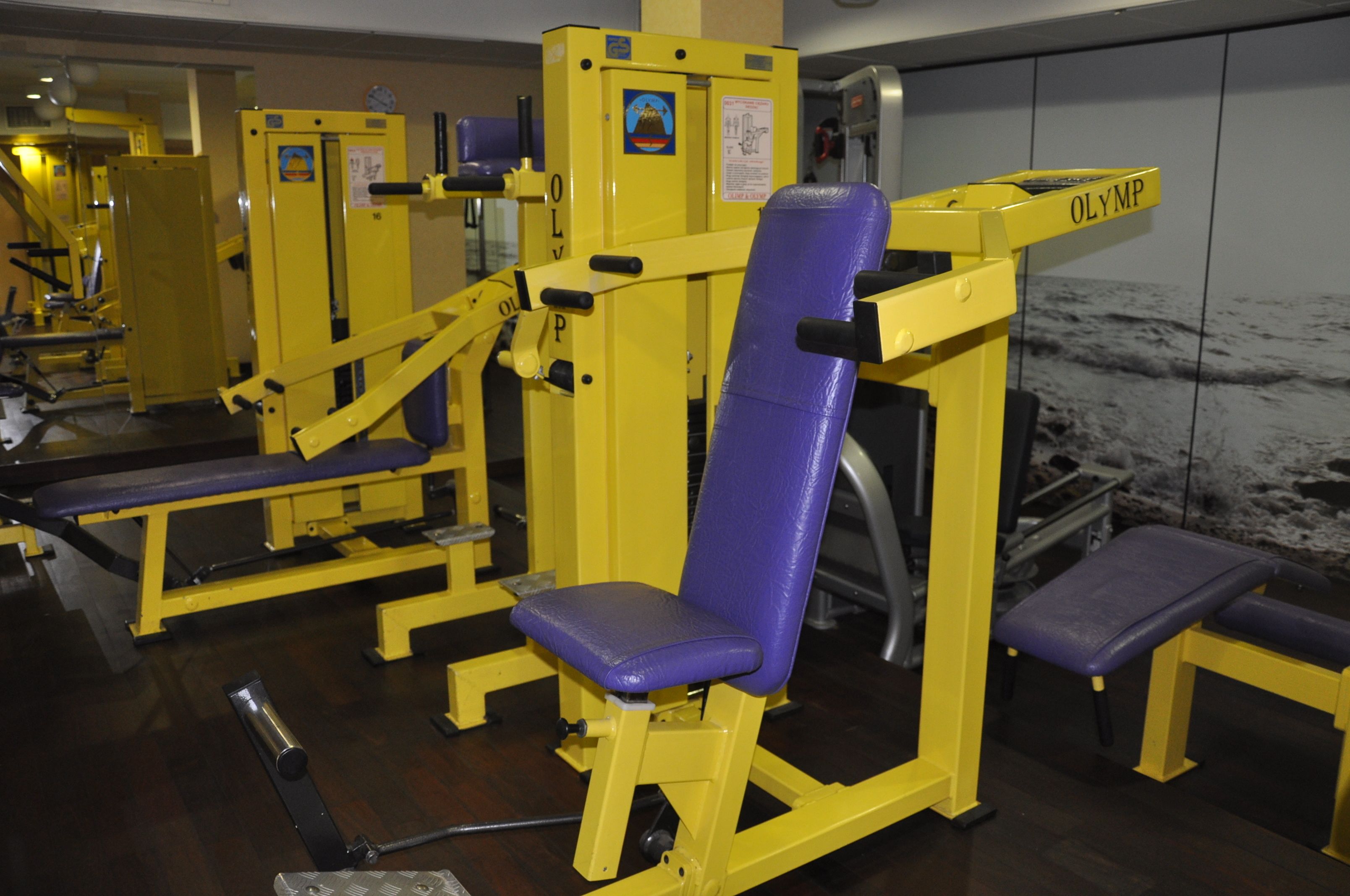 A gym with yellow and purple equipment, including a bench and a weight machine.