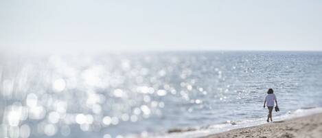 Playa en los alrededores