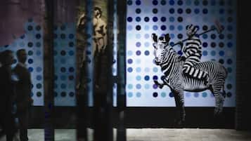 Een zebra muurschildering op een muur met een stippenpatroon.