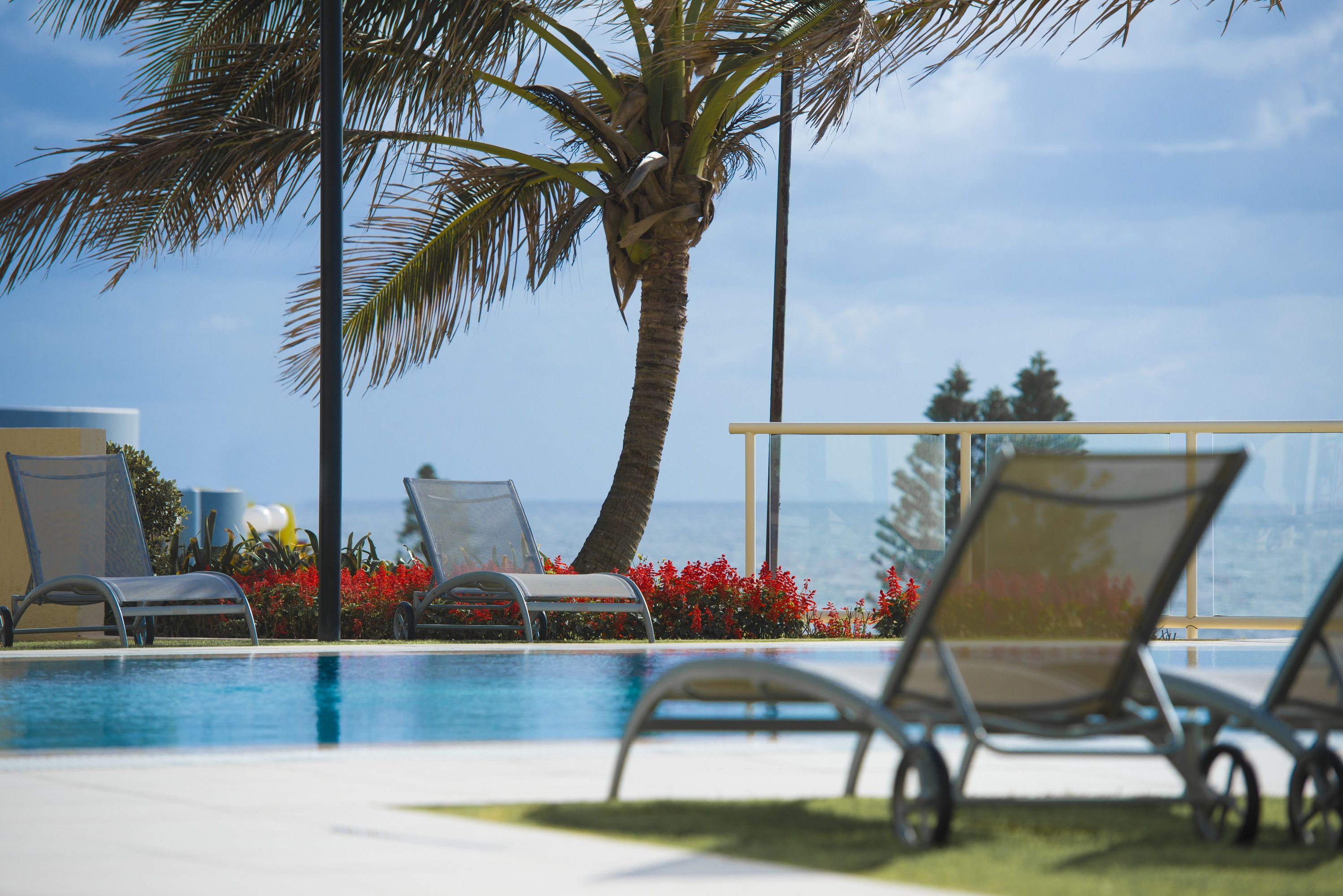 A poolside area with lounge chairs, a palm tree, and a view of the ocean.