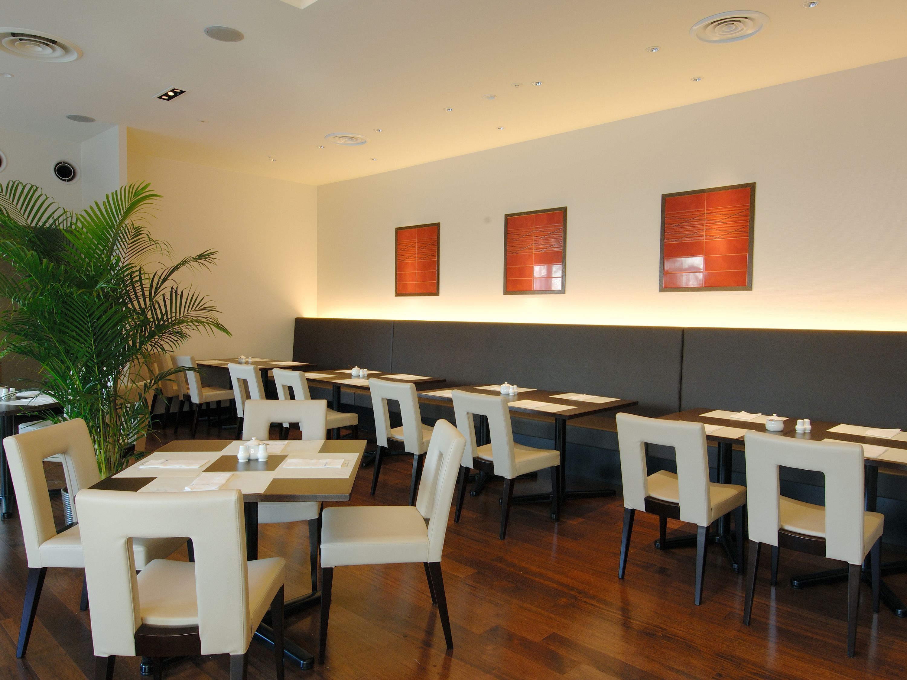 A modern restaurant with white chairs and tables, a large potted plant, and three framed artworks on the wall.