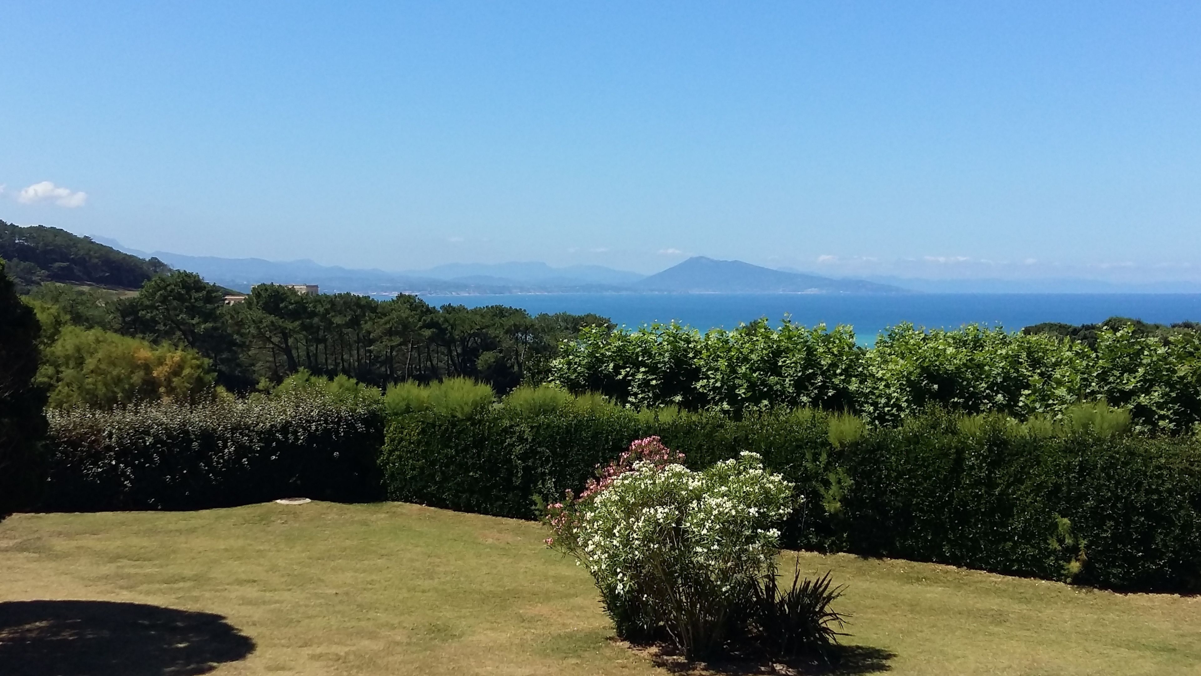 Un espacio verde con un arbusto y vistas al mar y montañas a lo lejos.