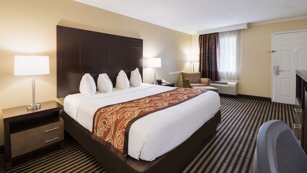 A hotel room with a large bed, a nightstand, a desk, a chair, and a television. - Best Western McKenzie (McKenzie)
