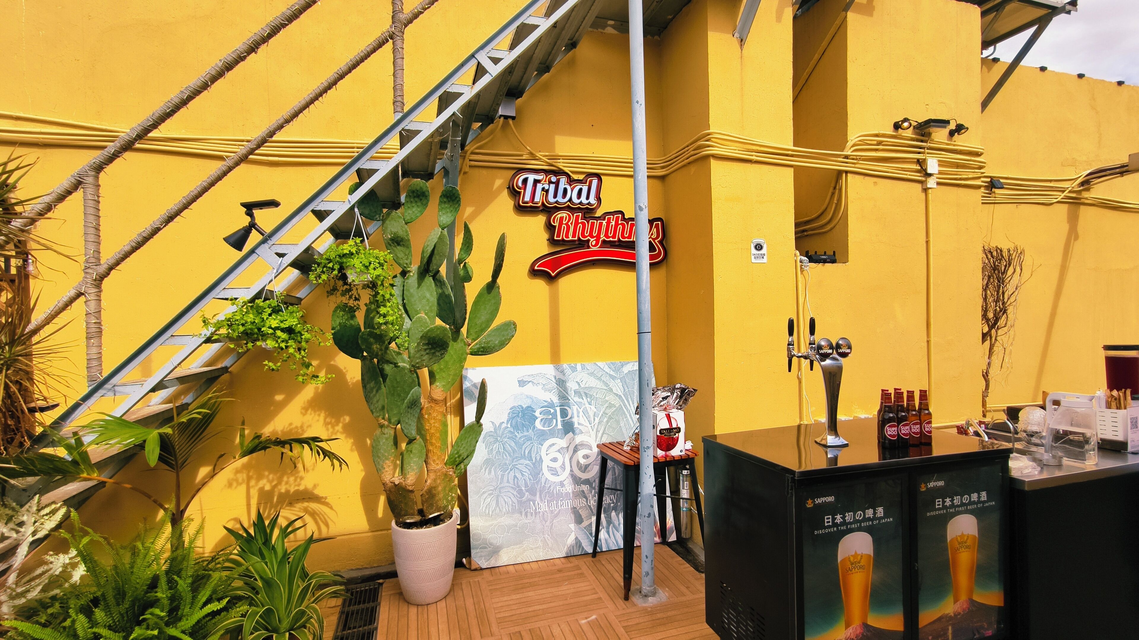 Zona de bar con pared amarilla, un letrero que dice "Tribal Rhythms" y un grifo de cerveza Sapporo.