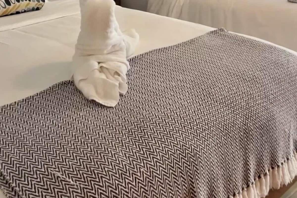 Habitación de hotel con dos camas, ventilador de techo, un ventanal grande y obras de arte en las paredes.