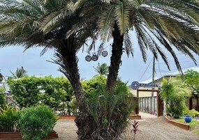 Entrada al alojamiento