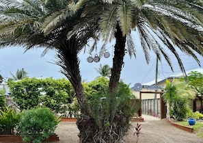 Property entrance - Mata Rocks Resort (San Pedro)