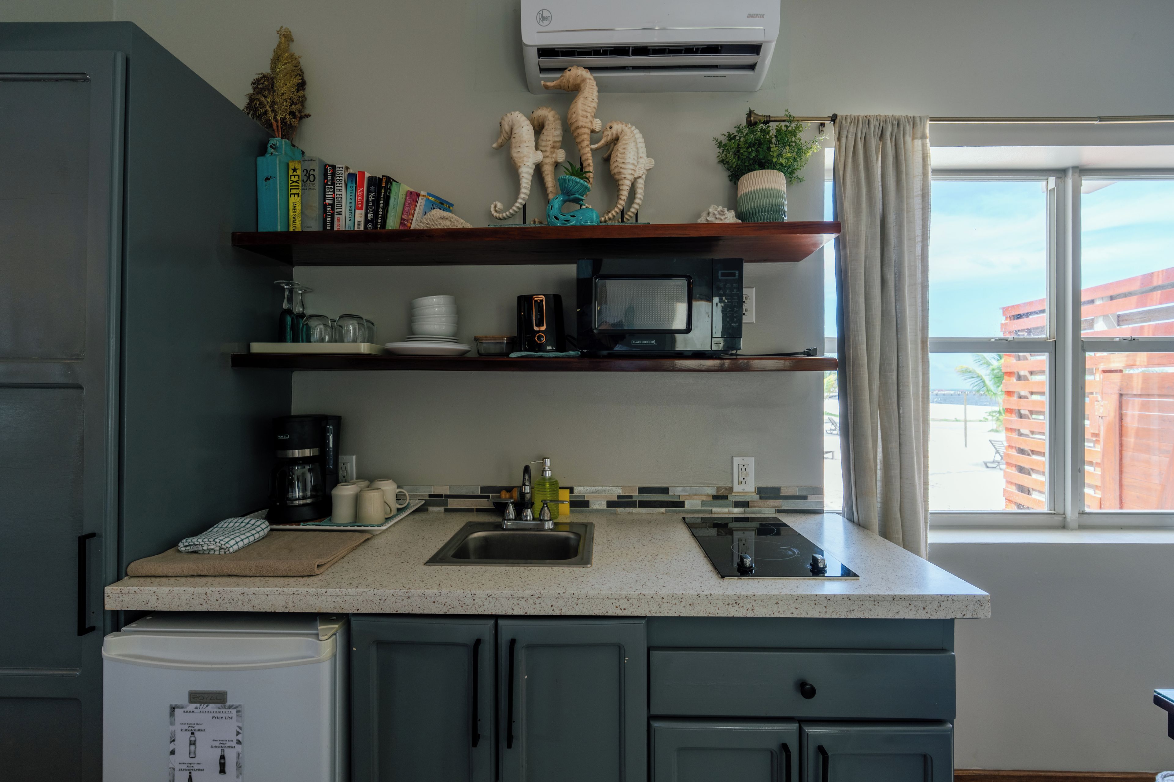 Una cocina con microondas integrado, cafetera y pileta. Hay libros en los estantes y objetos decorativos como un caballito de mar.