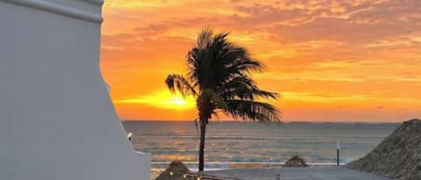 Zona de piscina con vista al atardecer, sillones de descanso y una palmera.