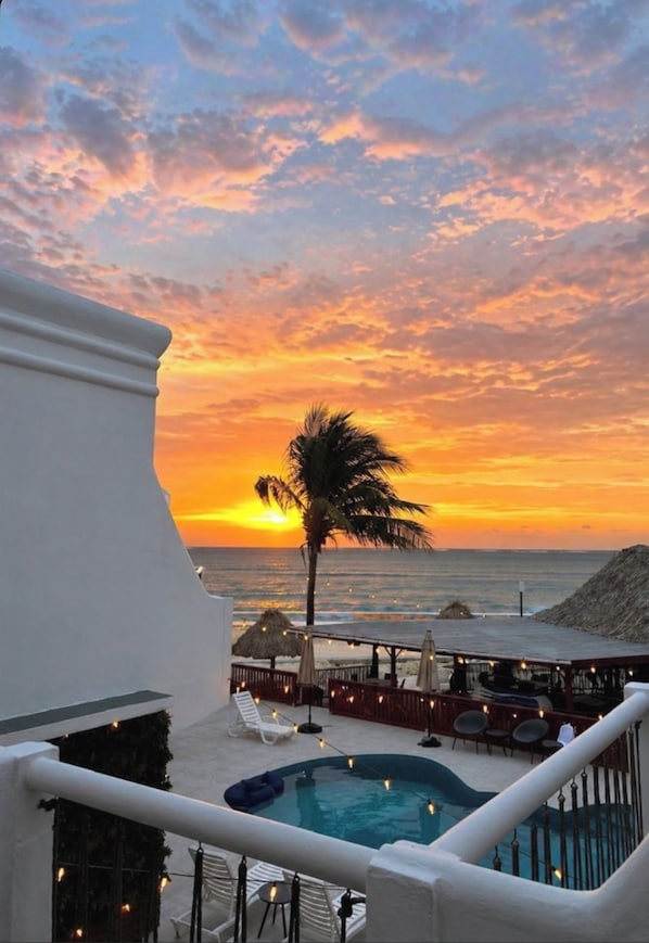 A pool area with a sunset view, lounge chairs, and a palm tree.