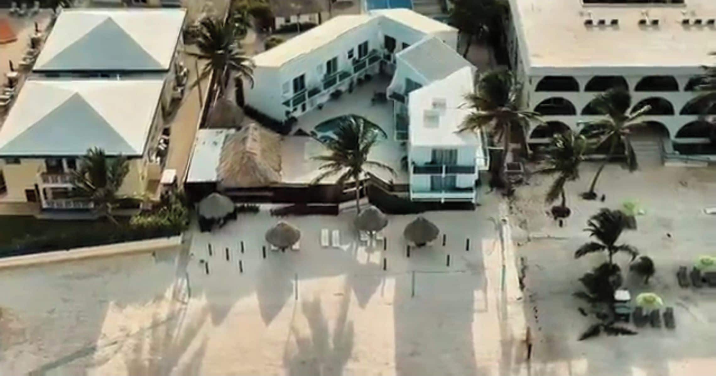 A modern building with a curved facade, multiple windows, and palm trees.