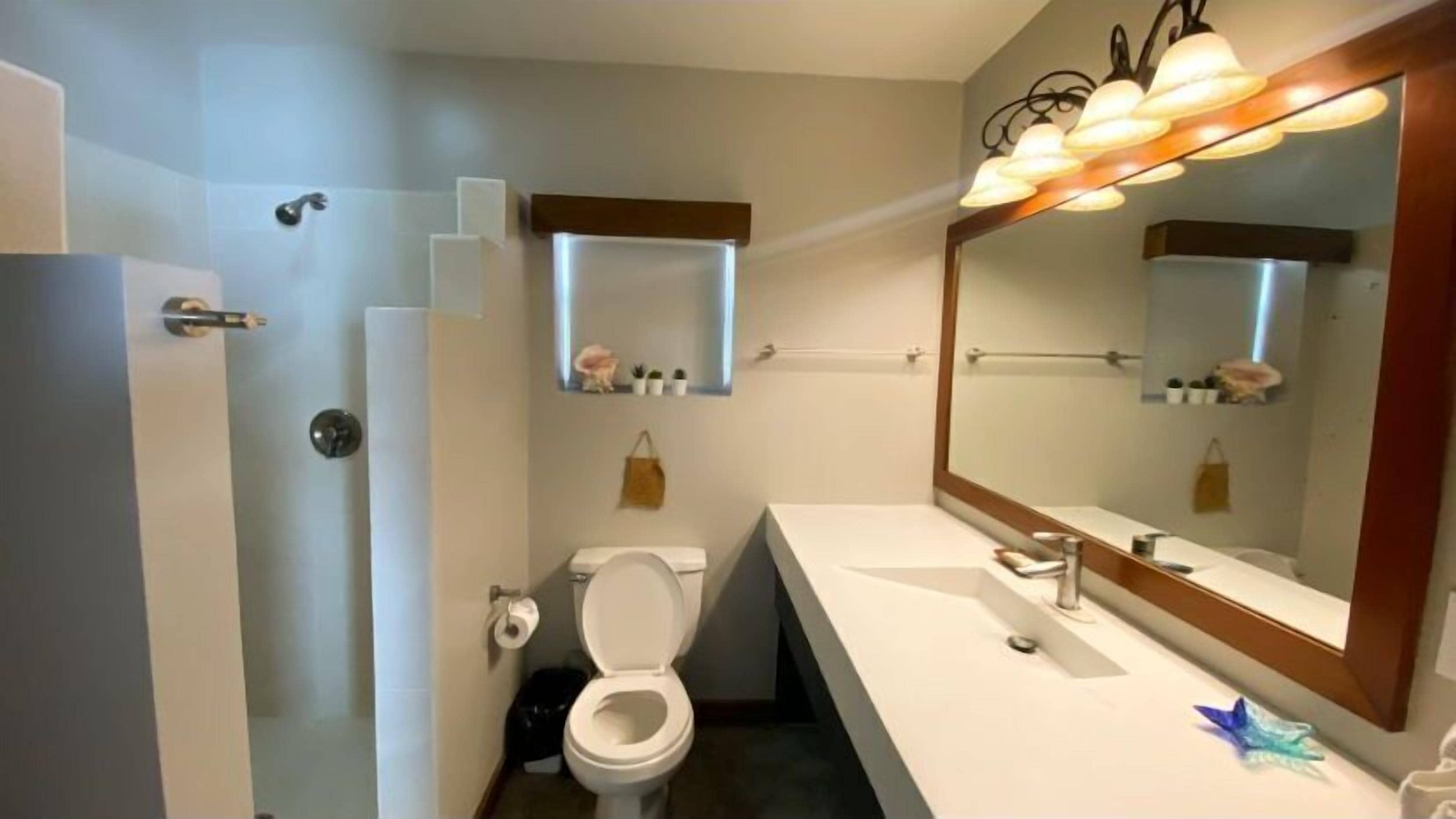 A bathroom with a white sink, a large mirror, and a toilet. There are shelves above the sink with toiletries.