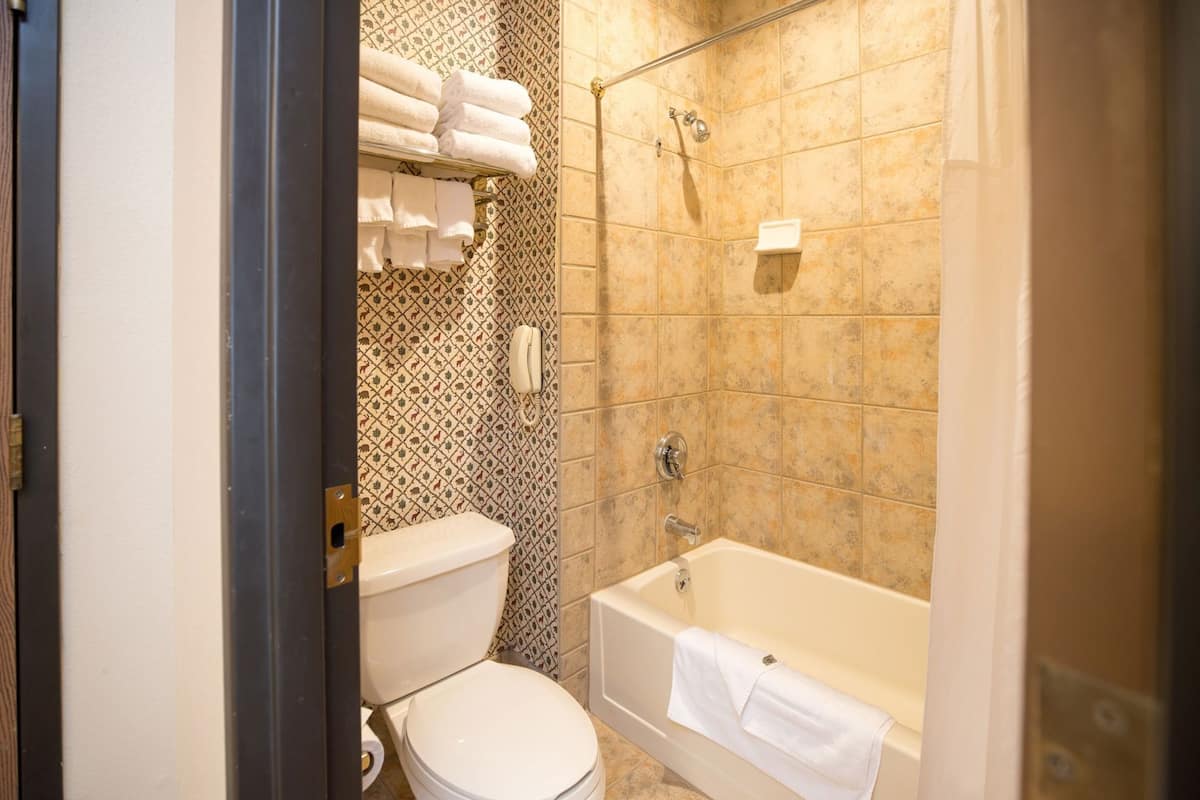 Een badkamer met toilet, bad en douche.