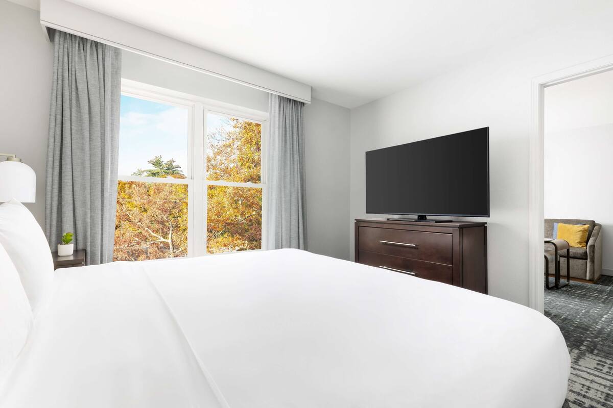 A hotel room with a large bed, a flat-screen TV on a wooden cabinet, and a view of autumn trees through the window.