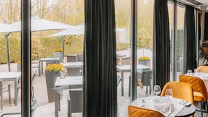 An outdoor dining area with tables and chairs, large windows, and a view of the garden.