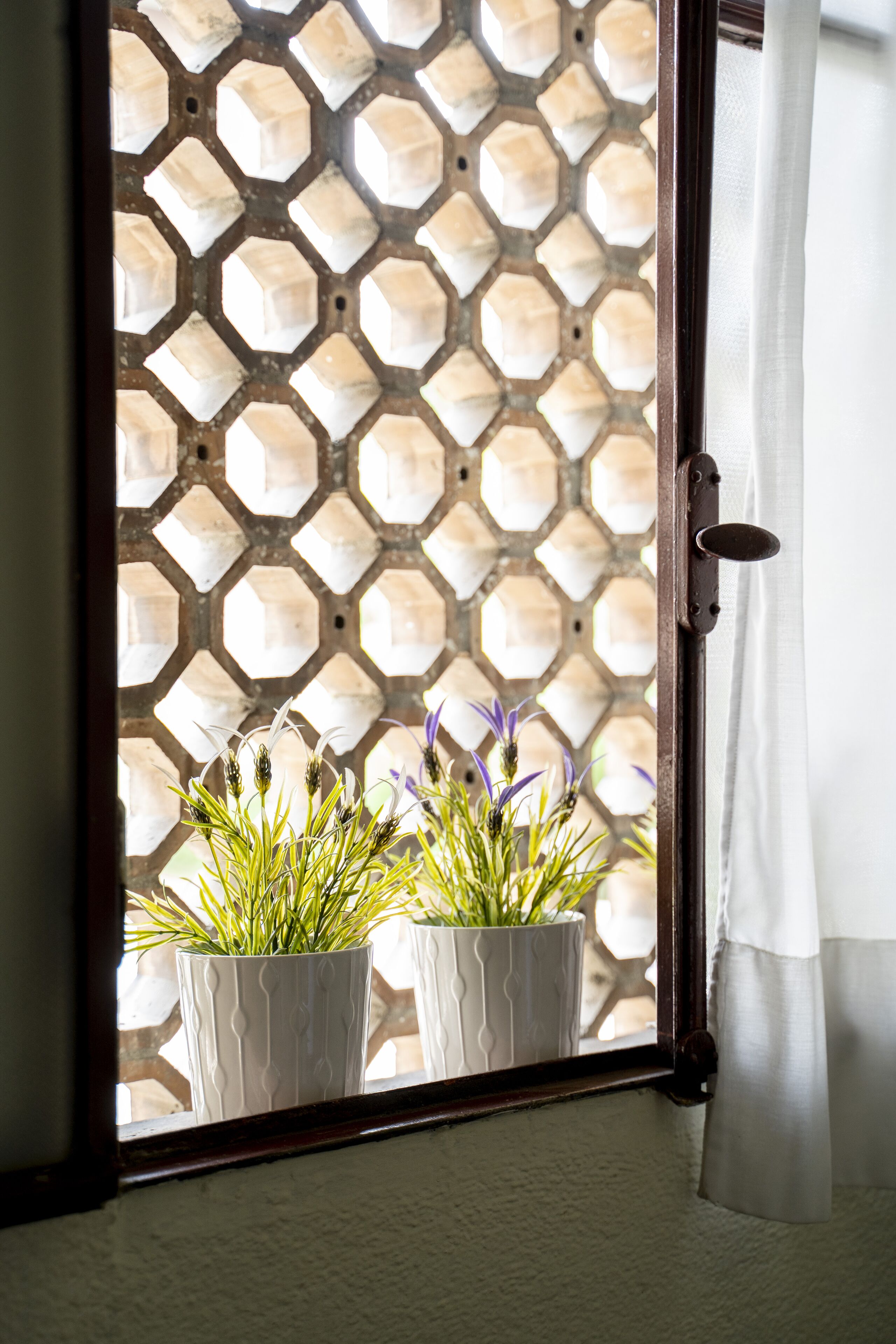 Photo - Hotel Dei Fiori