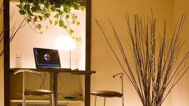 A modern living room with a sofa, a laptop on a desk, a plant, and a tall vase with reeds. - Hotel Montebello (Montecatini Terme)