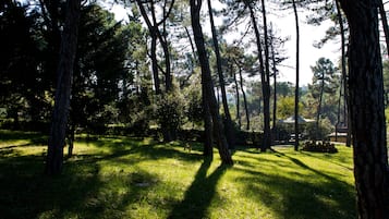 Jardín