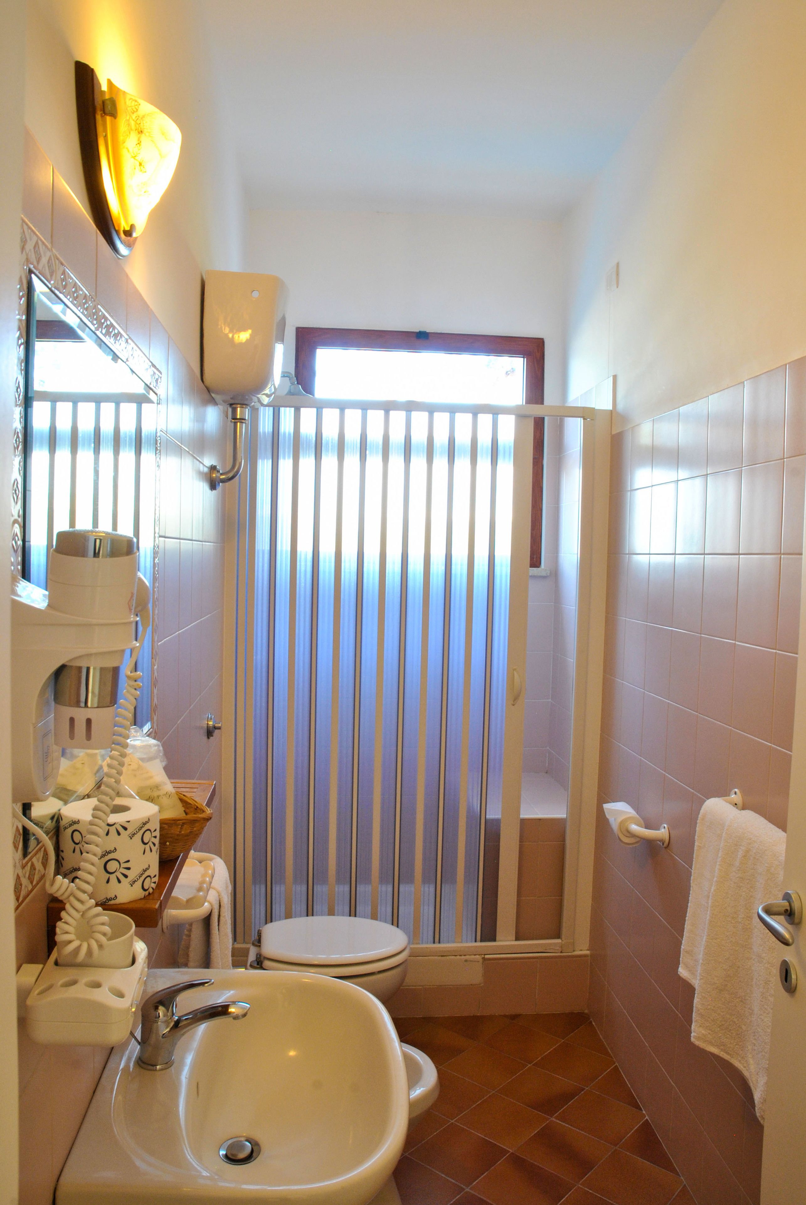 shower, rainfall showerhead, hair dryer, bidet