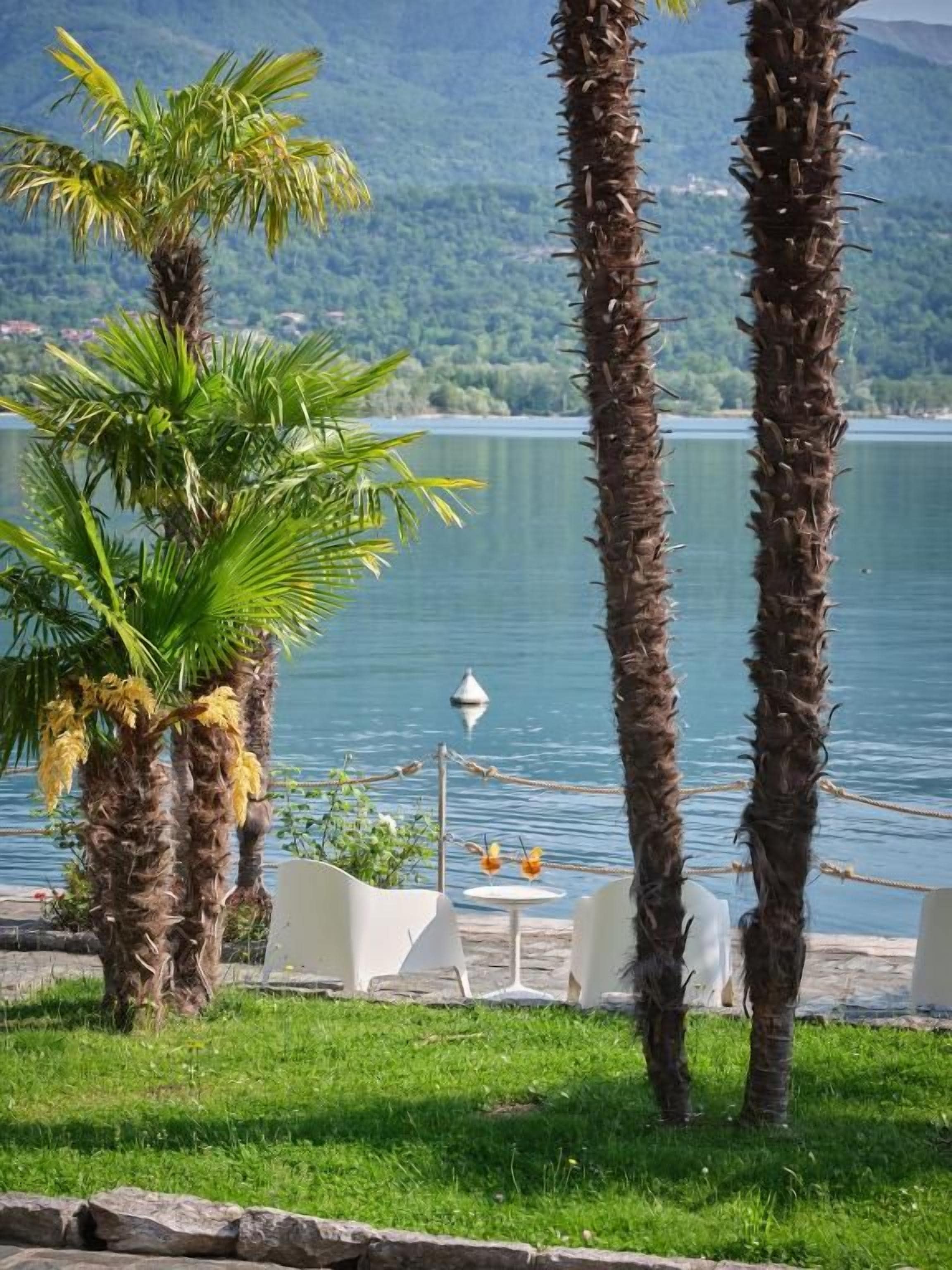 A lakeside view with palm trees, a lamp post, and outdoor seating.