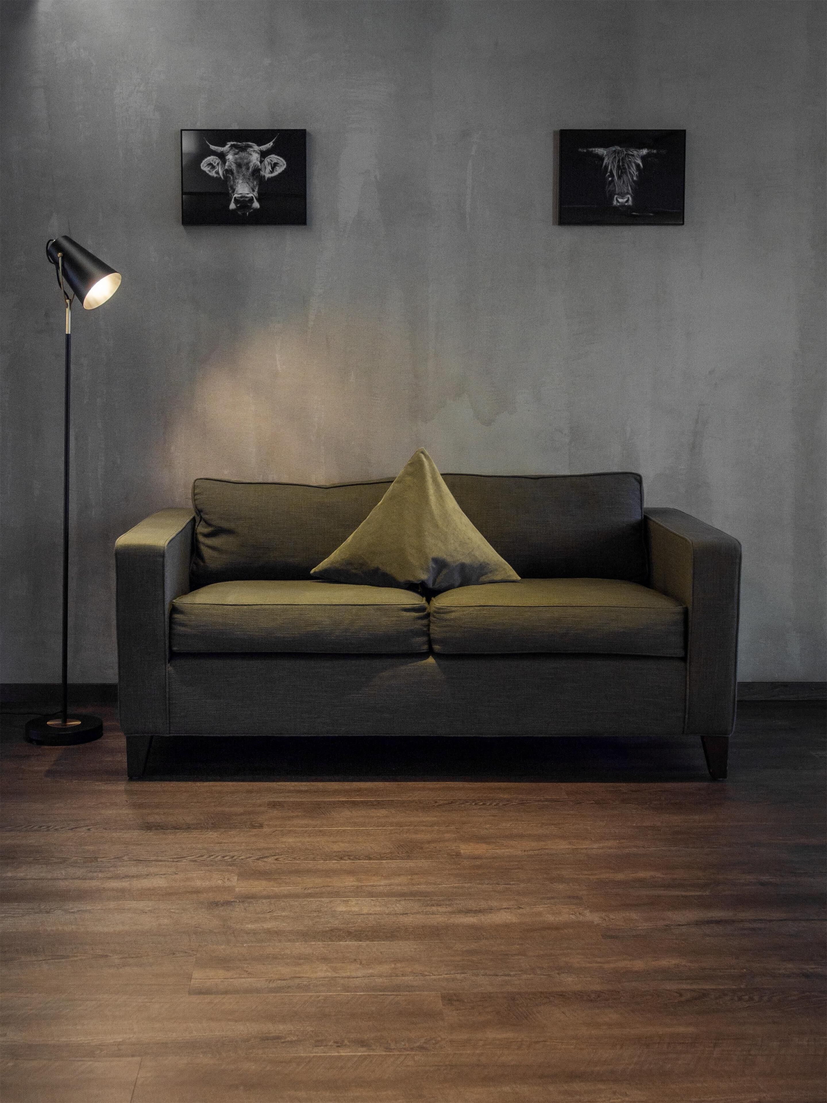 A dark green sofa with a single pillow, a floor lamp, and two framed pictures on the wall.