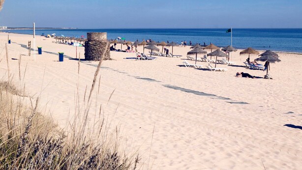 A beach with sun loungers and umbrellas, a clear sky, and the ocean in the background.