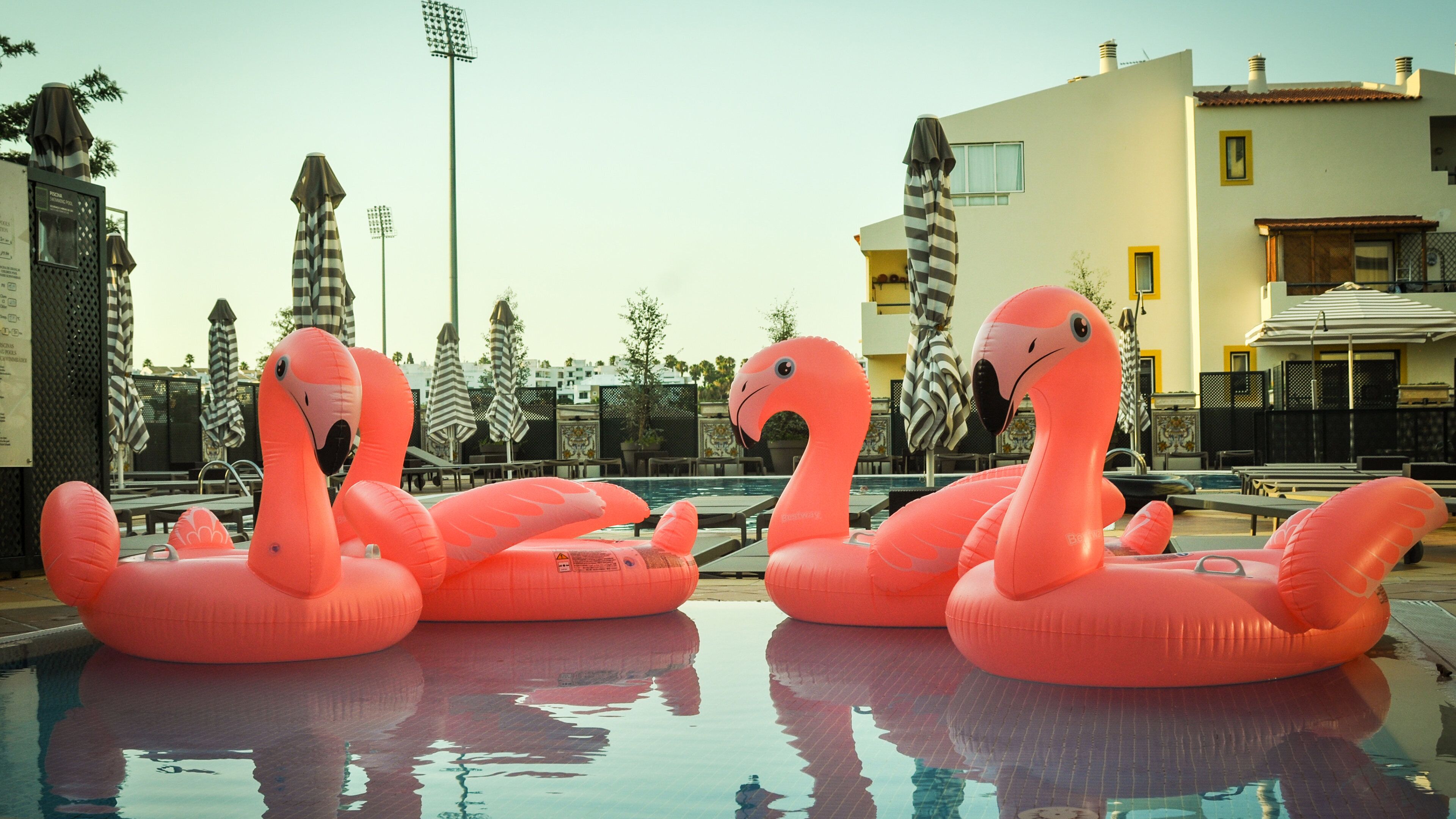 Indoor pool, 2 outdoor pools, pool umbrellas, pool loungers