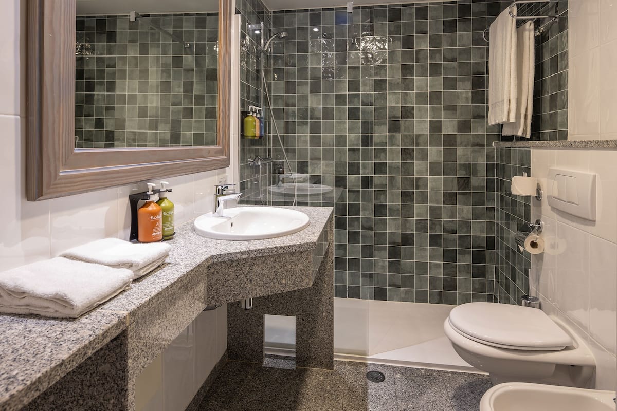 Shower, free toiletries, hair dryer, towels