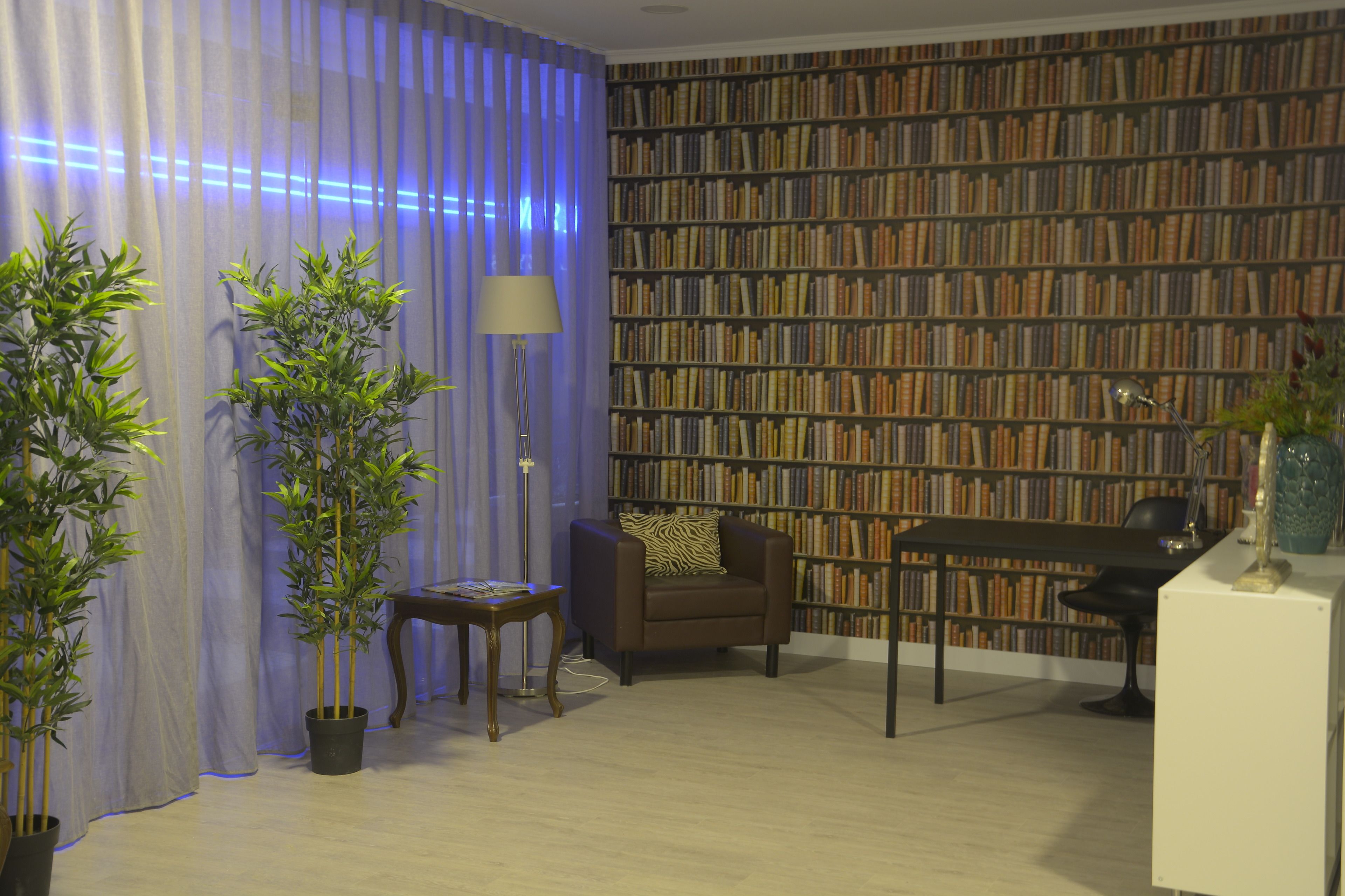 Photo - The Navigator - Olympus Marina