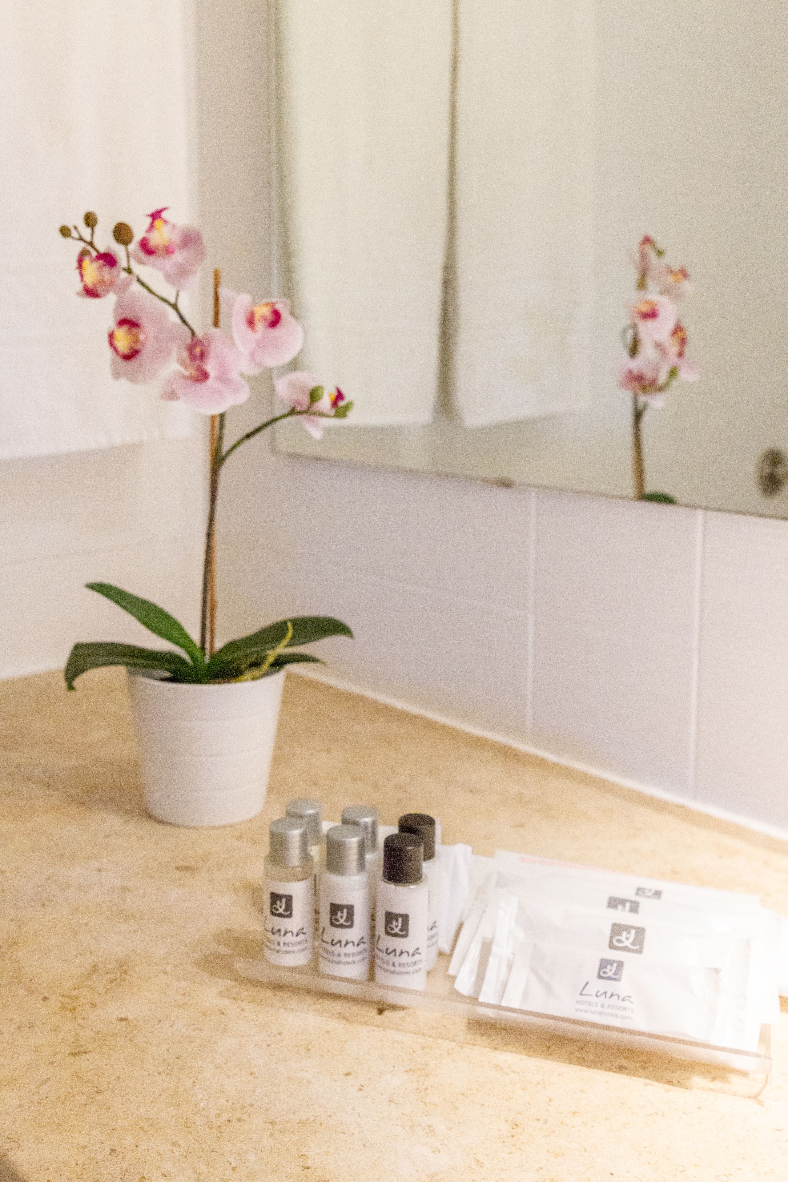 Photo - The Navigator - Olympus Marina