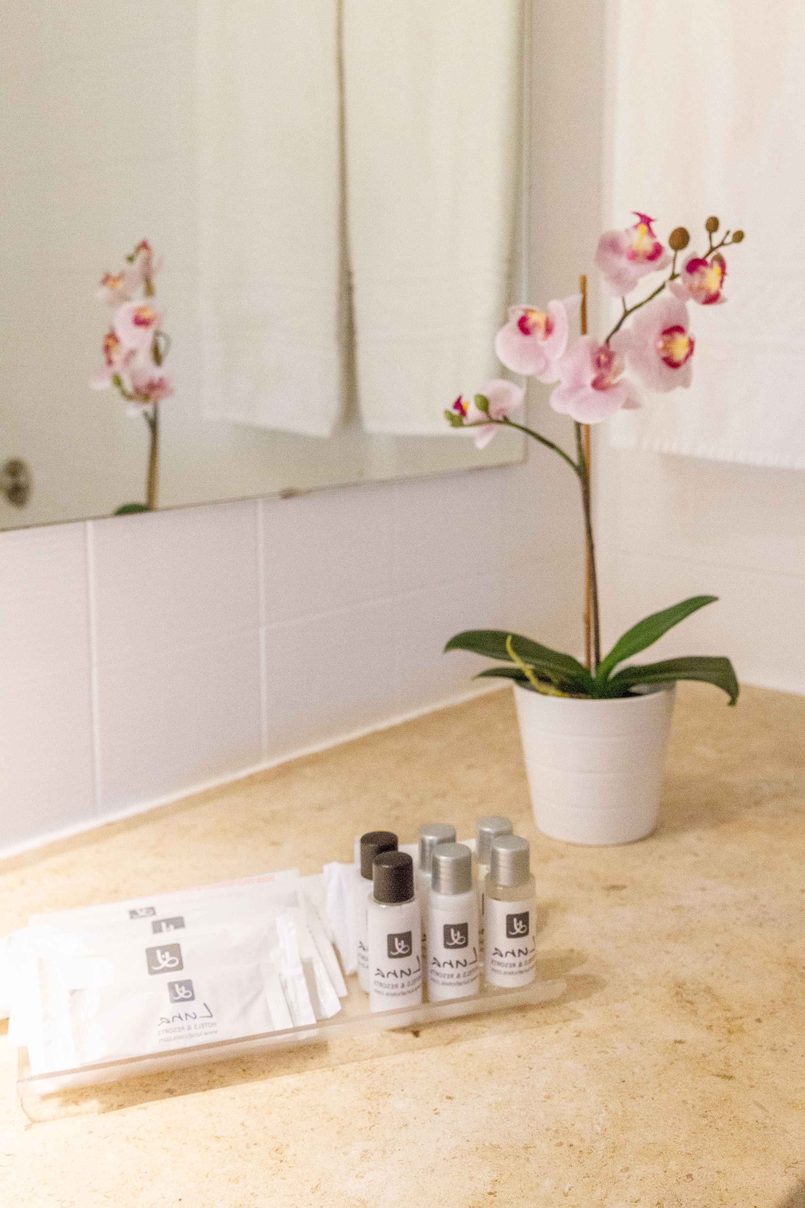 Photo - The Navigator - Olympus Marina