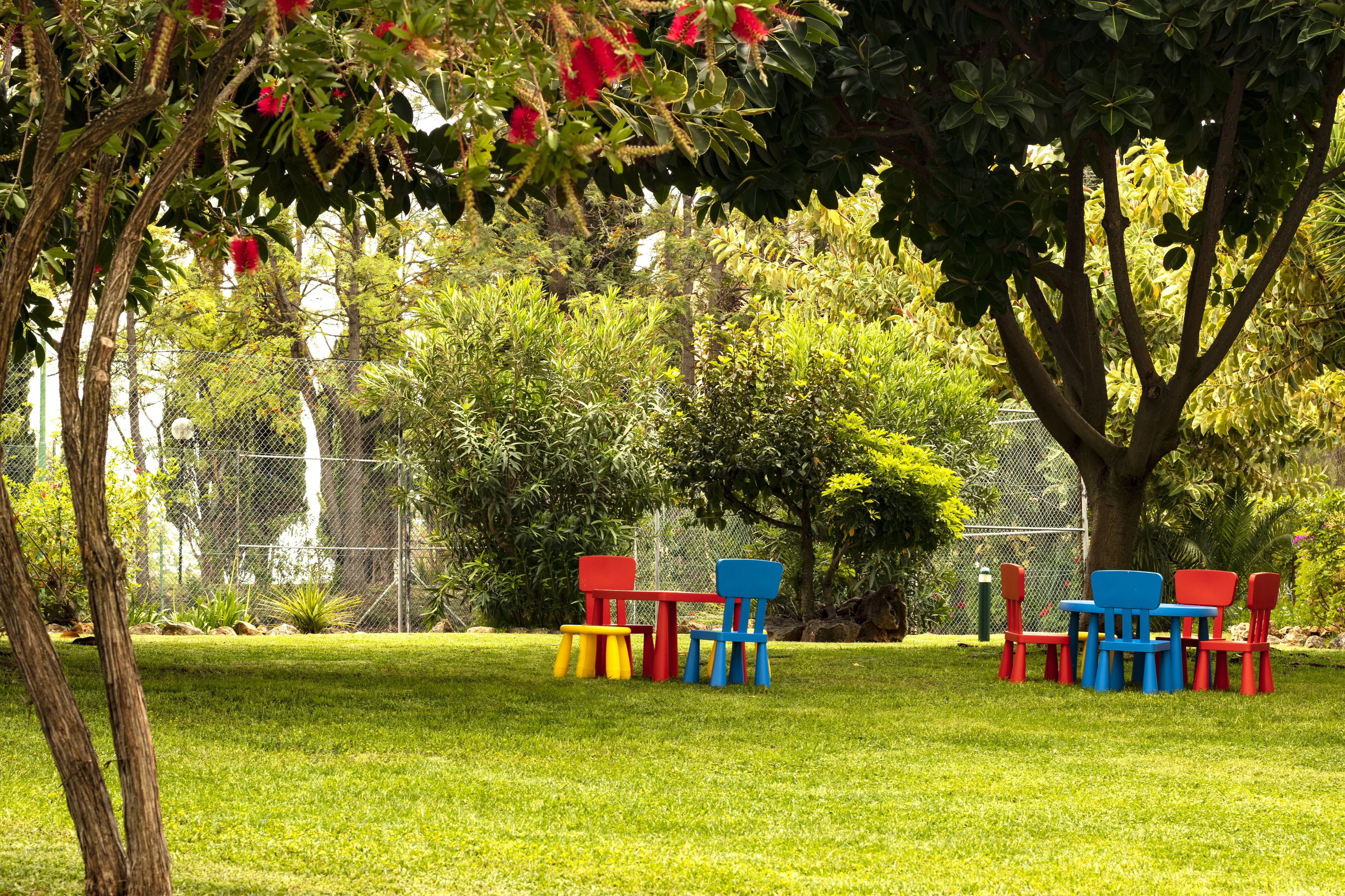 Photo - The Navigator - Olympus Marina