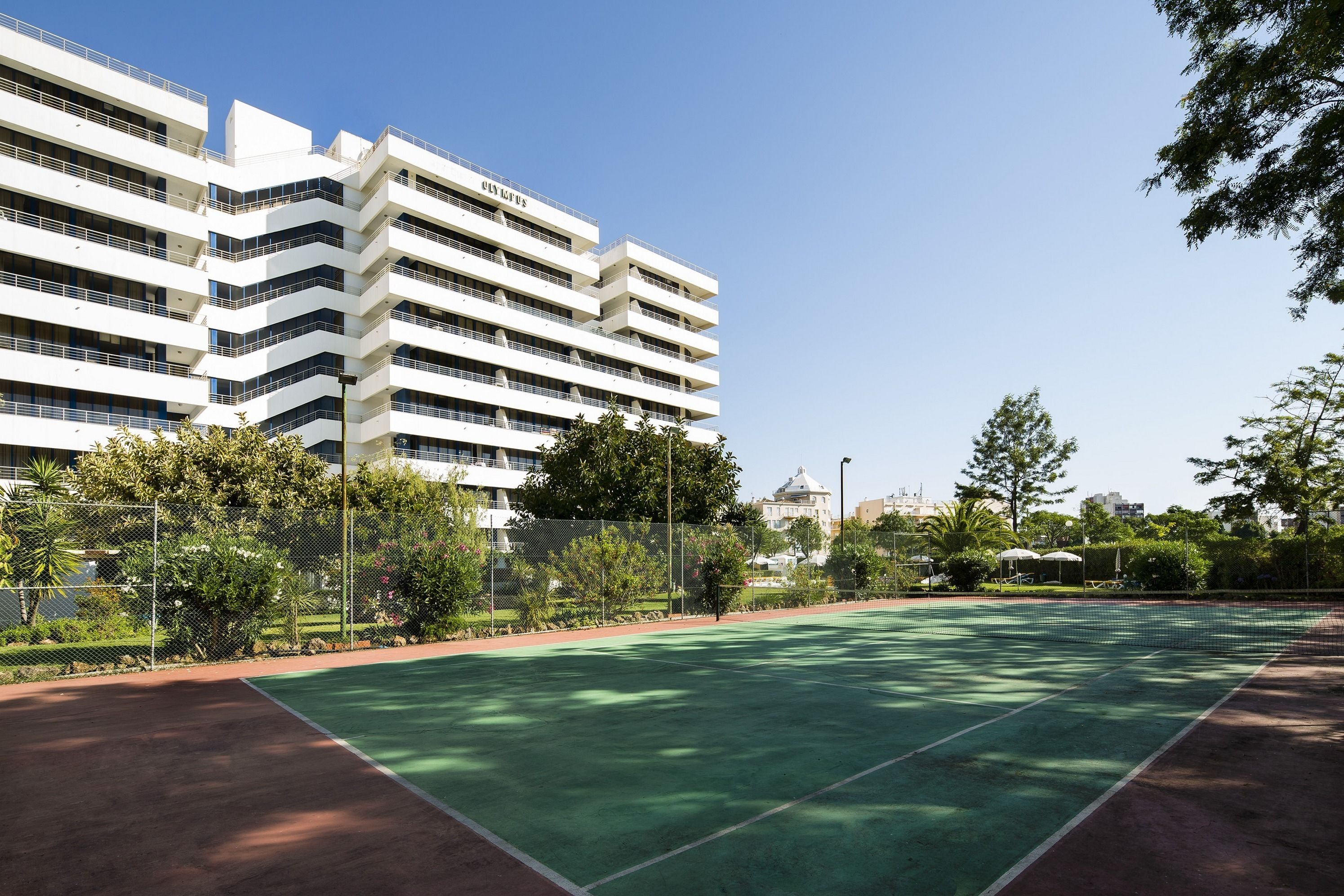 Photo - The Navigator - Olympus Marina