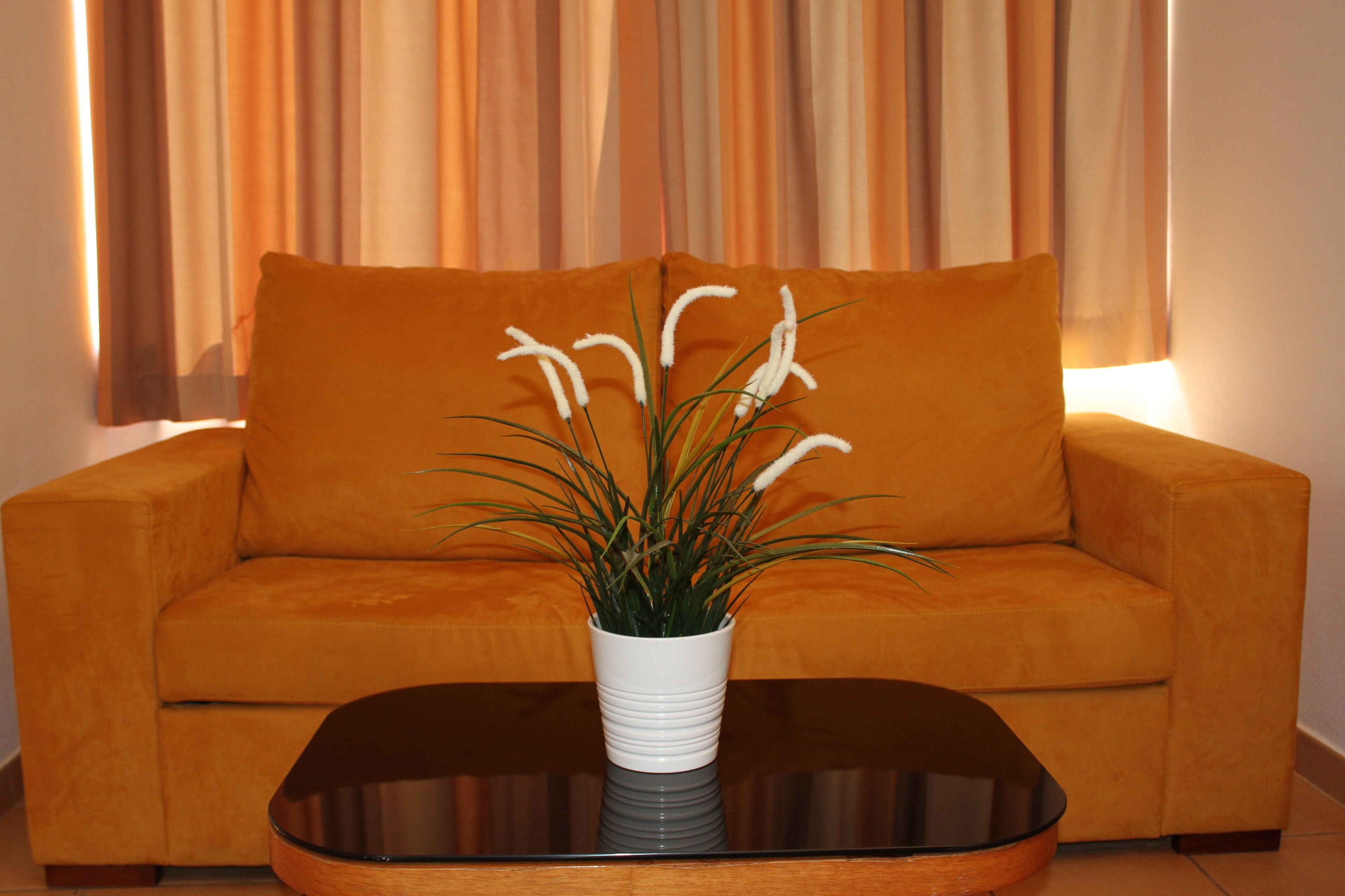 A living room with a sofa and a coffee table.