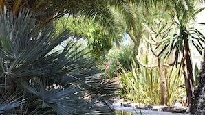 A garden with various plants and a small water feature. - Hotel Pinhal do Sol (Loulé)