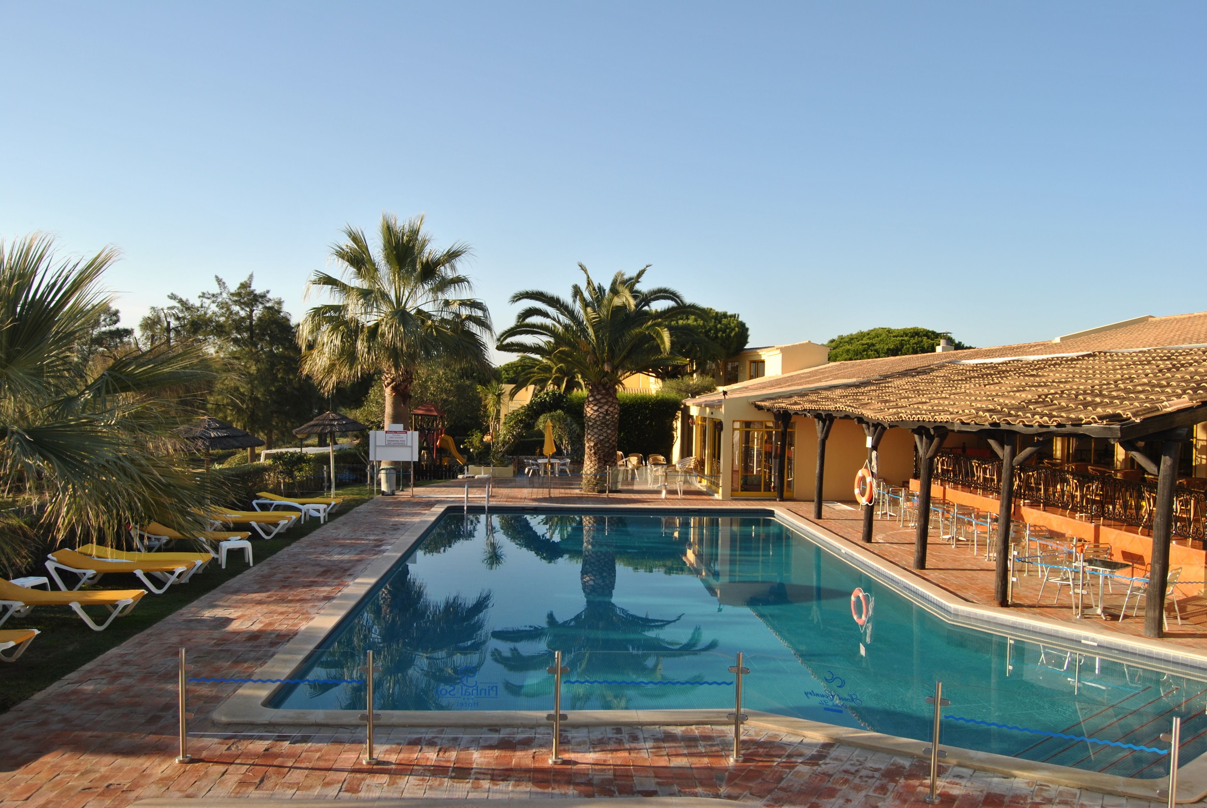 Une piscine rectangulaire à l’eau d’un bleu cristallin, entourée de palmiers et de chaises longues.
