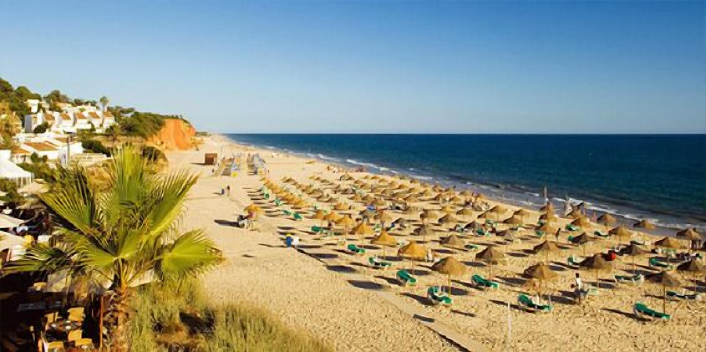 Foto - Hotel Pinhal do Sol