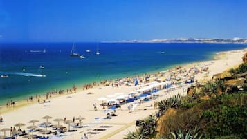 Playa en los alrededores y paseos en velero 