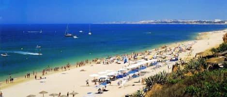 Una spiaggia nelle vicinanze, vela