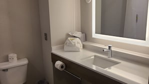 Une salle de bain moderne avec des toilettes, un lavabo et un miroir.