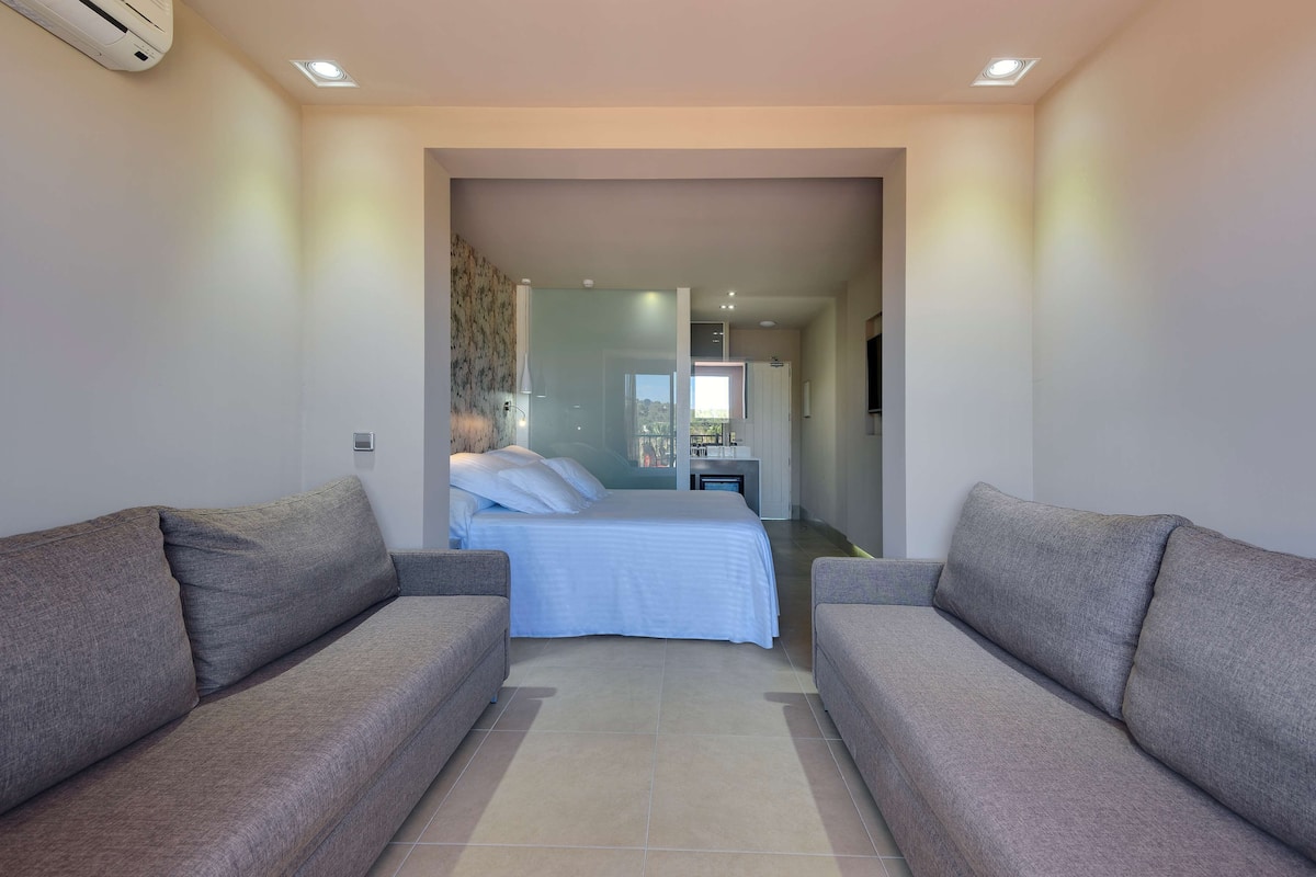 Premium bedding, minibar, in-room safe, free cribs/infant beds