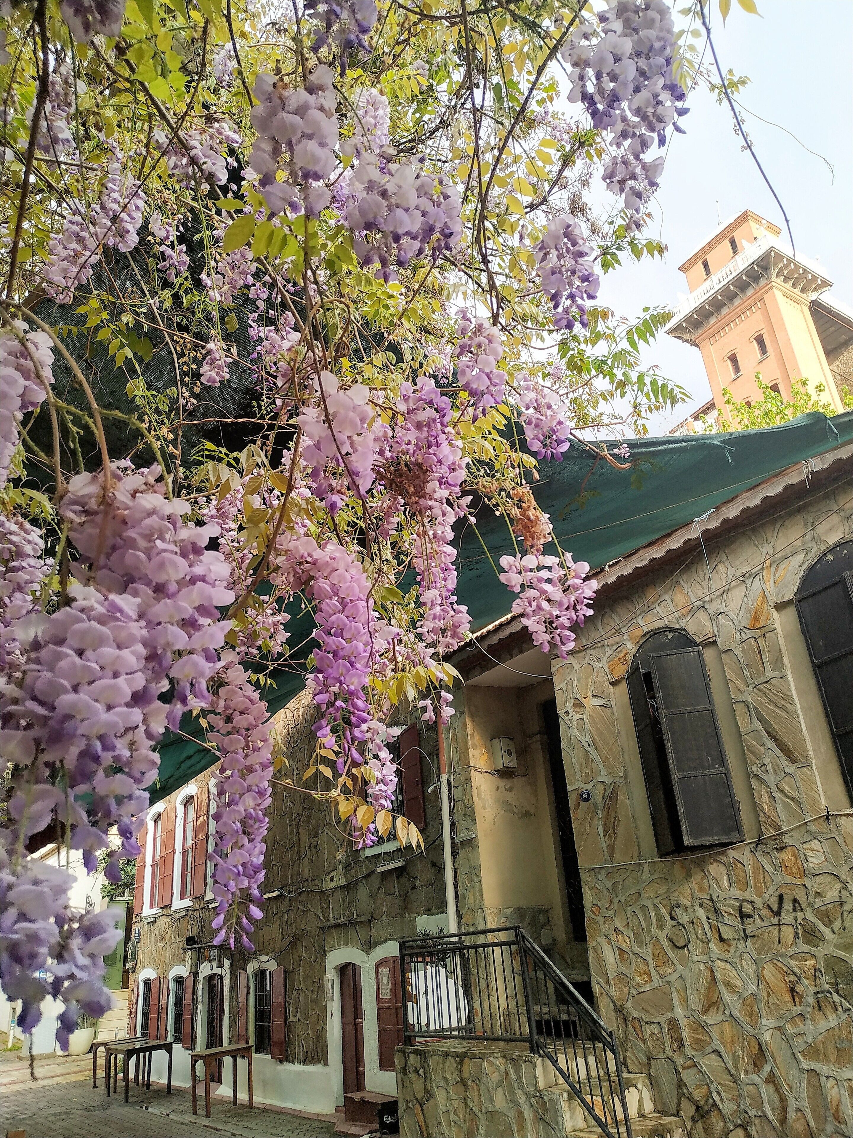 Foto - Wyndham Grand Izmir Ozdilek Thermal & Spa