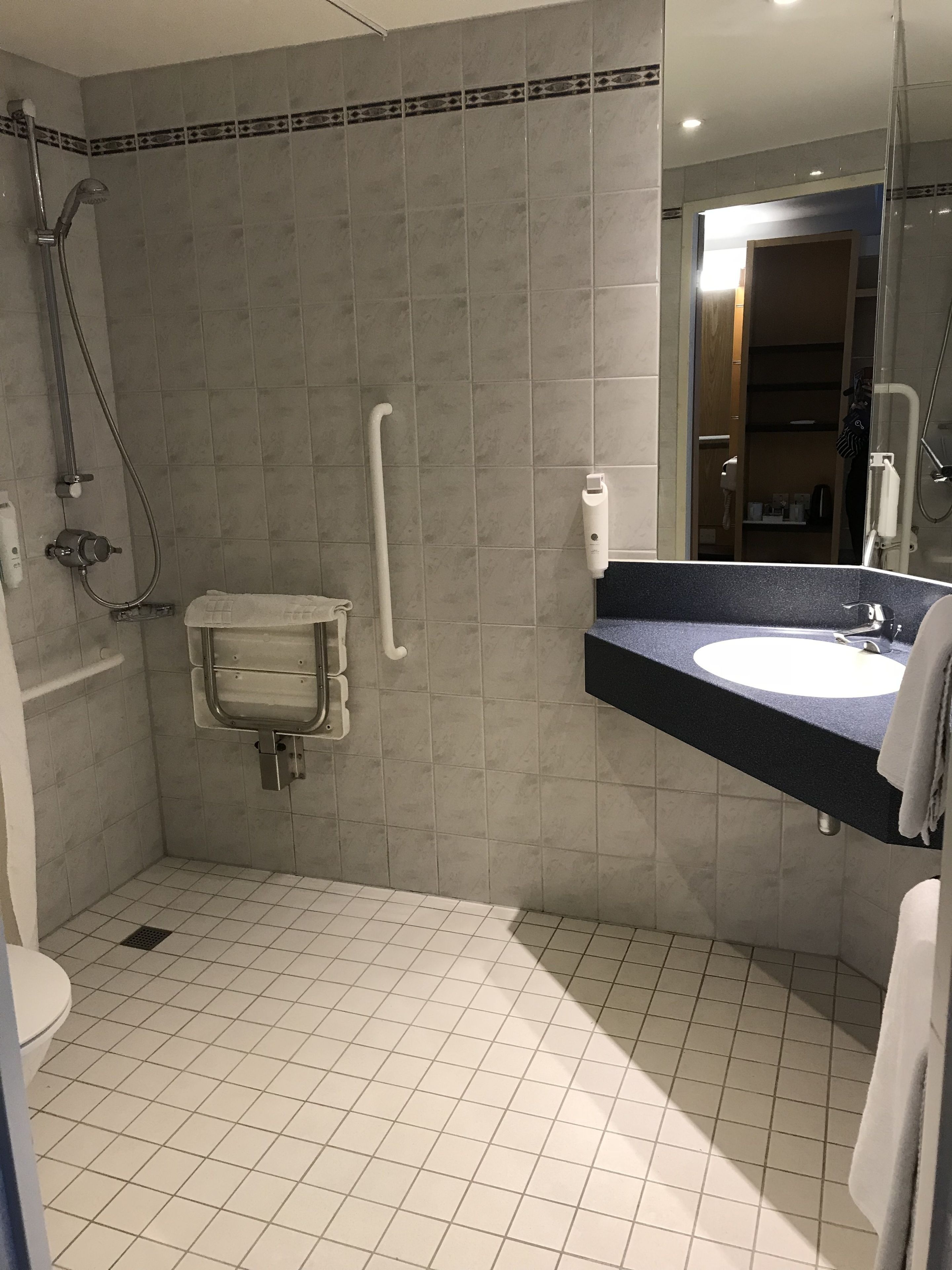 A bathroom with a shower, a handrail, a sink, and a toilet.