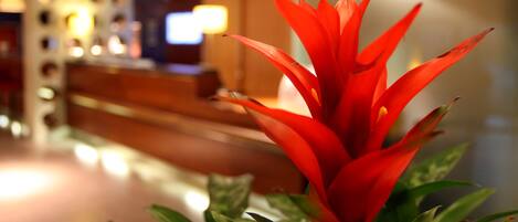 A reception area with a reception desk, a television, and a plant with red leaves.